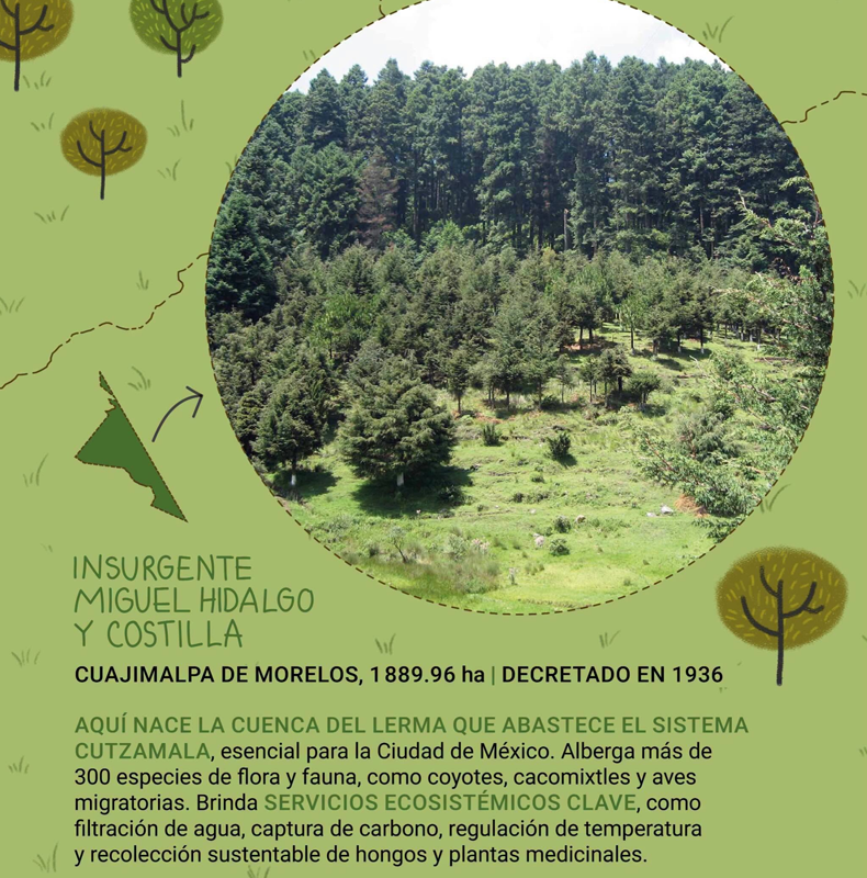 Parques