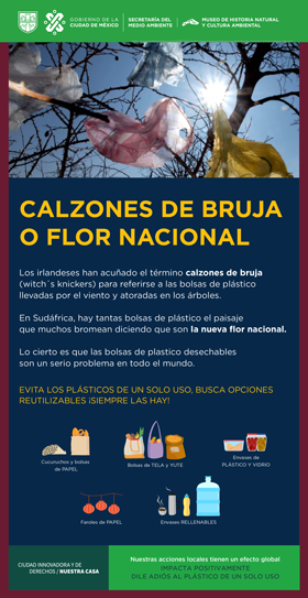 Calzones de bruja